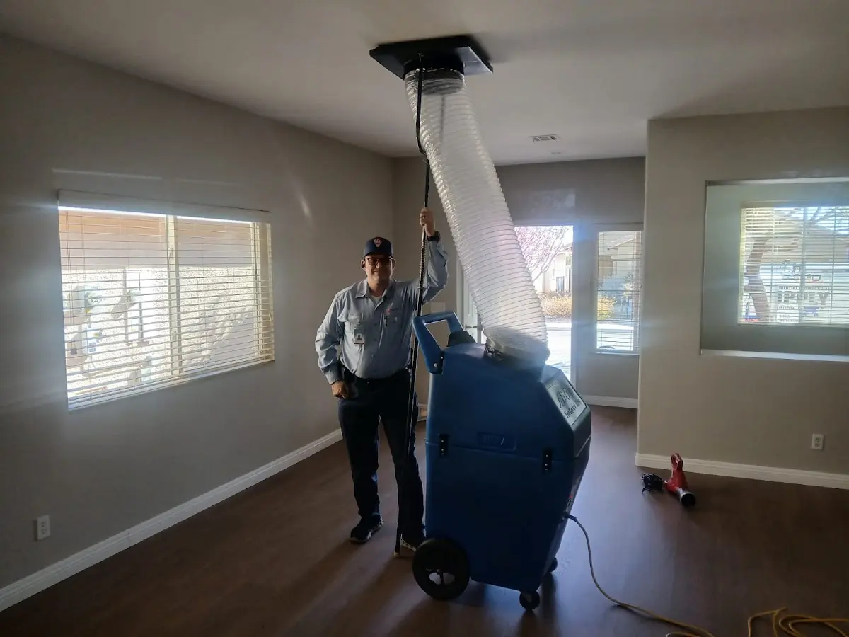 Professional Dryer Vent Cleaning work inside a Prien home